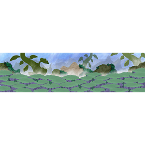 裂开的岩石地面 2